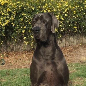 Meet your Posher, Stacey